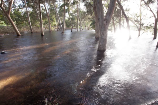 Athalassa national forest park 