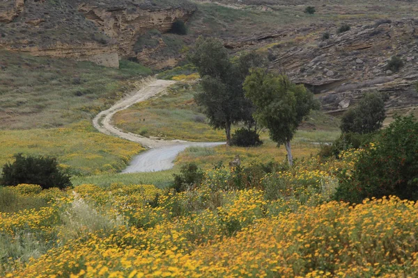 Agios Sozomenos abandoned village