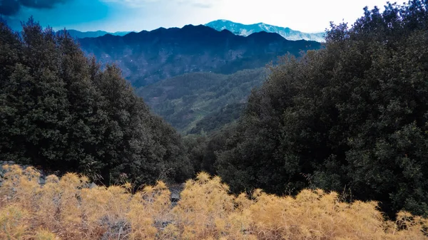 view from madari trail mountain line of Troodos.