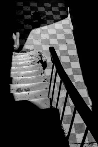 black and white photo of stairs in building, shadows and light on chess tile floor 