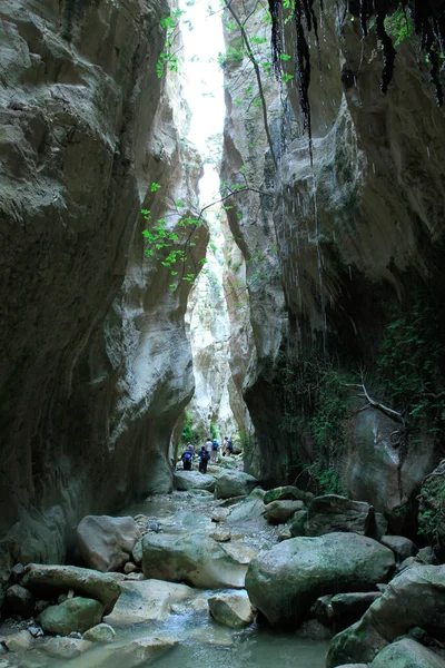 アバカス渓谷 キプロス西部のアカマス地方の深くて非常に狭い砂岩とブレシア渓谷 — ストック写真