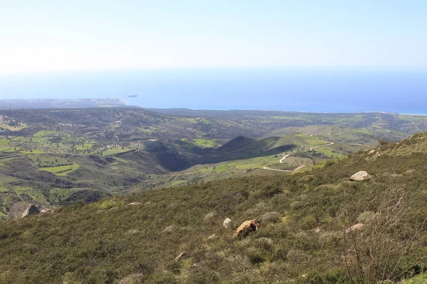 stock image Akamas Peninsula from Paphos, Cyprus, aerial view of sea coastline, wild beach, yellow landscape, blue lagoon, popular tourist attraction