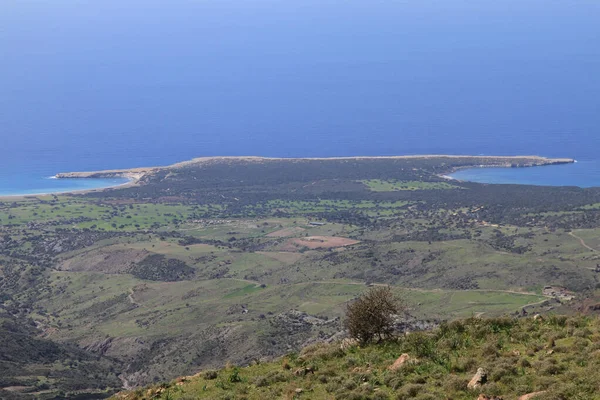从塞浦路斯帕福斯出发的Akamas半岛 从空中俯瞰海岸线 野生海滩 黄色风景 蓝色泻湖 受欢迎的旅游胜地 — 图库照片