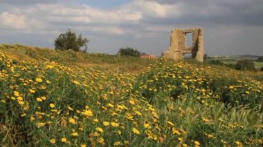 Agios Sozomenos 'taki harabeler ve çiçekler, Yunanistan' ın terk edilmiş köyü