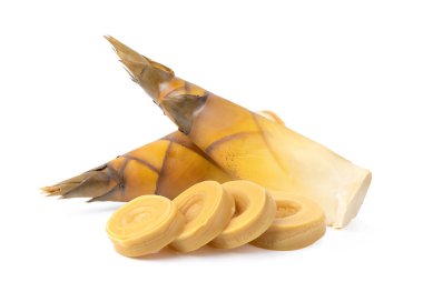 Bambu filizleri beyaz arkaplanda izole edilmiş