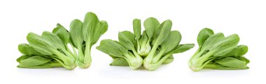 Beyaz arkaplanda bok choy sebzesi