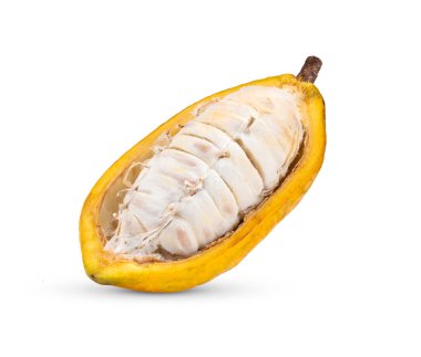 Beyaz arka planda izole edilmiş taze kakao