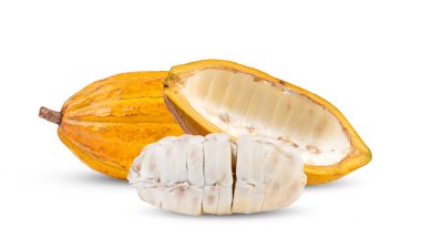 Beyaz arka plan üzerinde izole kakao