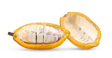 Beyaz arka planda izole edilmiş taze kakao