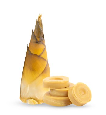 Bambu filizleri beyaz arkaplanda izole edilmiş