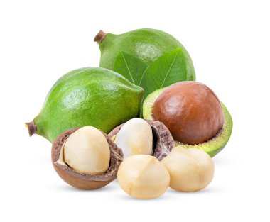 Beyaz arka planda yaprağı olan Macadamia fındıkları