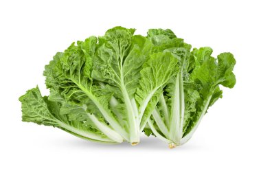 saydam png üzerinde marul yaprakları izole