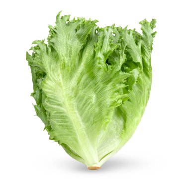 Beyaz arka planda taze fırfırlı buzdağı marulu