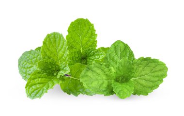 Beyaz arkaplanda izole edilmiş nane yaprakları