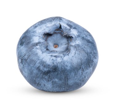 Beyaz arka planda izole edilmiş taze yaban mersini