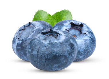 Beyaz arka planda izole edilmiş taze yaban mersini