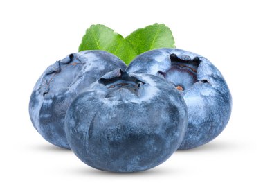 Beyaz arka planda izole edilmiş taze yaban mersini