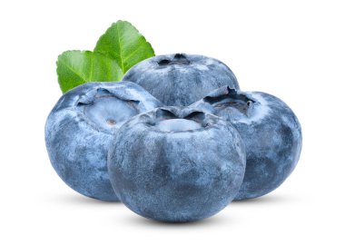 Beyaz arka planda izole edilmiş taze yaban mersini