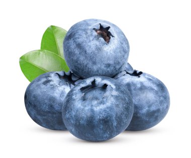 Beyaz arkaplanda yaban mersini izole edilmiş.