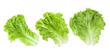 Beyaz arkaplanda marul izole