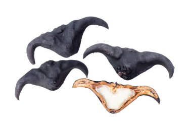 beyaz arkaplanda su caltrop izole