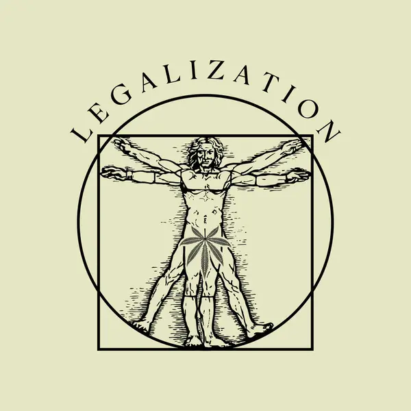Legalización Marihuana Una Ilustración Anatomía Hombre Con Una Hoja Marihuana — Vector de stock