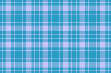 Özgeçmiş kontrolü. Kumaş taşıyıcı tekstil. Mavi ve açık renkli, kusursuz tartan desenli ekose..