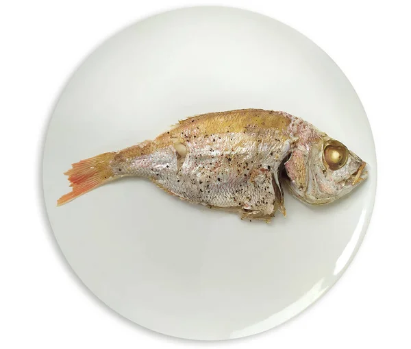 Grilled fish top view and close up. Healthy baked sea food for lunch. Cooking fried meal isolated on white.
