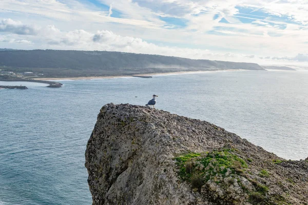 Staden Nazare Portugal Symbolen För Surfing Kustlinje Och Utsikt Ovanifrån — Stockfoto