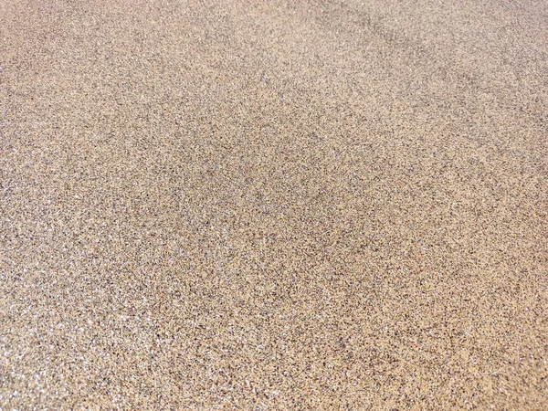 Tengerparti Nedves Homok Textúra Sandy Shore Bézs Háttér Üres Tiszta — Stock Fotó