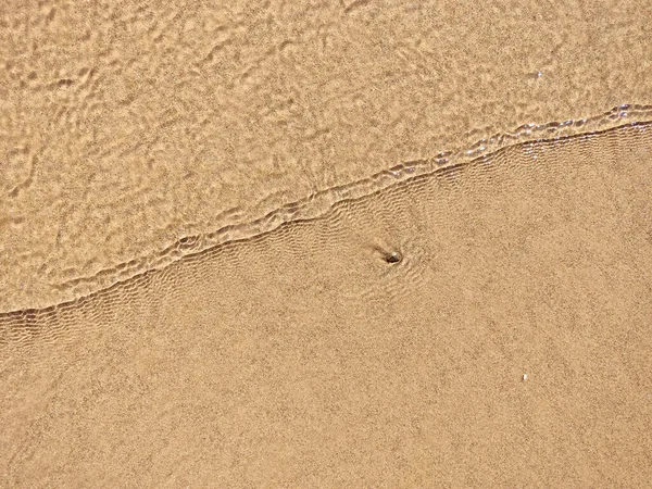 ビーチぬれた砂のテクスチャ サンディショアベージュの背景 空のきれいな海岸 — ストック写真