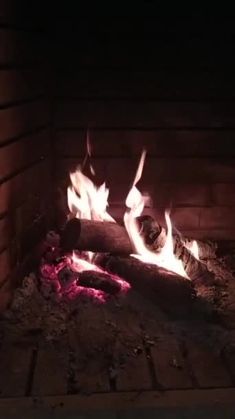 벽난로에서 활기찬 화재가 불타고 따뜻한 생동감 넘치는 불꽃을 보여줍니다 — 비디오