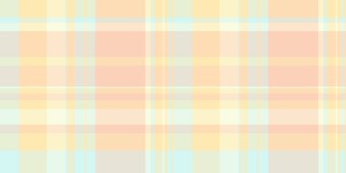 Karmaşık ekose desenli, NY arka plan kontrol vektörü. Xmas ekose kumaş dokusu açık ve beyaz renkte.