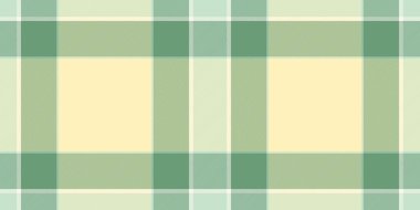 Uzayı kontrol et vektör dokusunu kopyala, şebeke arkaplan kumaş ekoseli. Açık ve yeşil renklerde zengin ekose kumaş deseni.