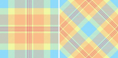 Gökkuşağı renklerinde ayarlanmış tartan desenli bir tekstil tekstil ile kontrol dokusu ekoseli kumaş.