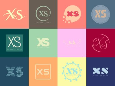 XS logo şirketi şablonu. Harf X ve s logotype. Tasarım elemanları ile farklı klasik serif harfleri ve modern kalın metin ayarla. İlk yazı tipi tipografisi.