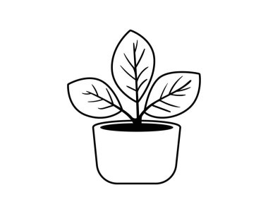 Ev dekorasyonu için saksı vektör simgesi yerleştir. Ev bitkisi siyah beyaz çizgiler çiziyor. Yankı sembolü.