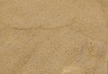 Sahil boyunca uzanan yumuşak altın kum parlak bir güneşin altında, ziyaretçileri sıcak havanın ve huzurlu çevrenin tadını çıkarmaya davet ediyor. Rahatlatıcı bir gün için..