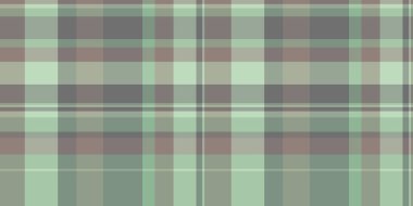 Lüks, pürüzsüz kumaş arka plan, çapraz vektör tekstil kontrolü. Hindistan desenli tartan ekose desenli pastel ve orta gri renk paleti.