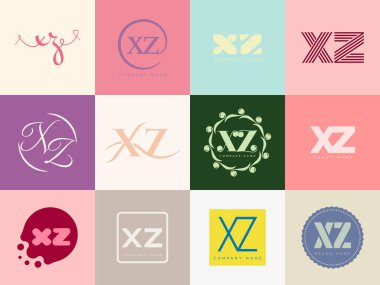 XZ logo şirketi şablonu. Harf X ve z logoti. Tasarım elemanları ile farklı klasik serif harfleri ve modern kalın metin ayarla. İlk yazı tipi tipografisi.