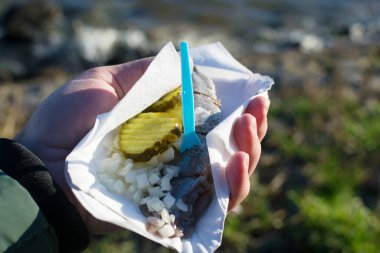 Hand holding a delicious herring snack with pickles and onions. Perfect street food! clipart