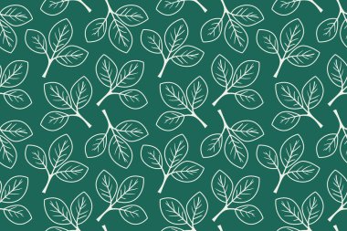 Zarif yeşil arkaplan, bembeyaz minimalist yaprakların kusursuz bir örneğini içeriyor. Tekstil tasarımı, duvar kağıdı, markalaşma veya web sitesi geçmişi için ideal.