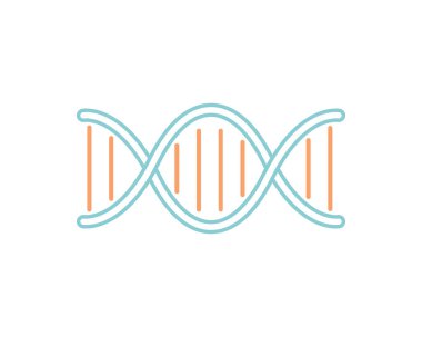DNA çift sarmalının temiz ve minimalist bir örneği. Genetik, biyoteknoloji veya sağlık hizmetleriyle ilgili web siteleri, sunumlar veya eğitim materyalleri için mükemmel.