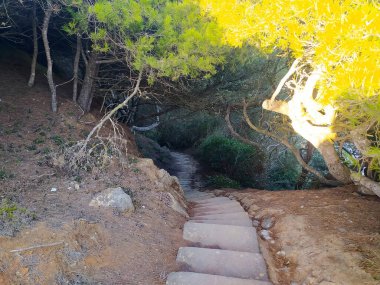 Düz olmayan taş basamaklardan oluşan dar bir patika, yoğun yapraklarla dolu gölgeli bir alana iniyor. Bu da, keşifleri davet eden sakin bir patikayı ortaya çıkarıyor..