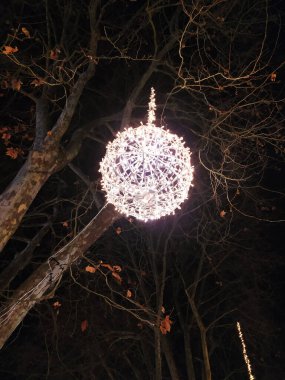 Büyüleyici gece sahnesi: Peri ışıklarından oluşan parlak bir küre çıplak kış dallarından sarkıyor, ağaçların karanlık siluetlerine sıcak bir parıltı saçıyor..