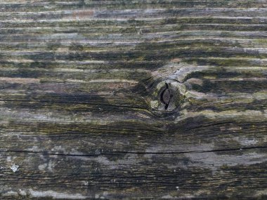 Yıpranmış, gri ahşap dokuya yakın ve belirgin bir düğüm. Köy geçmişi, web sitesi tasarımı ya da klasik projeler için mükemmel. Her tasarıma yaşlılık hissi katar..