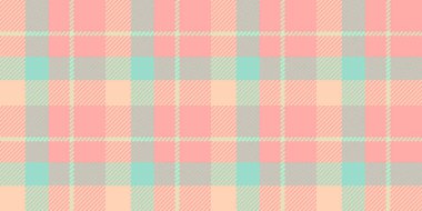 Pastel ekose desenli. Yumuşak pembe, şeftali, nane yeşili ve gri arka plan, tekstil veya kırtasiye tasarımı için mükemmel bir yumuşatıcı doku yaratır. Sıcaklık ve sükuneti çağrıştırıyor..
