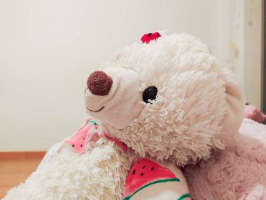 Yumuşak, beyaz bir ayıcığın, karpuz desenli bir kıyafet giymiş sevimli bir yakın çekimi. Çocuk ürünleri, bloglar veya oyuncaklara, çocukluğa veya konfora odaklanan web siteleri için mükemmel.