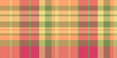 Canlı pastel ekose desenli. Tekstil tasarımı, moda, ambalaj ve web sitesi geçmişi için mükemmel. Bu neşeli, sonbahar esinlenilmiş doku sıcaklığı ve rahatlığı çağrıştırıyor..