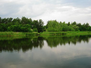 Sakin göl, bulutlu bir gökyüzünün altındaki yemyeşil ağaçları yansıtıyor. Huzurlu doğa sahnesi rahatlamak için mükemmel..